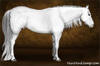 Horse Color:Brown Fewspot 