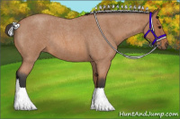 Horse Color:Bay Roan Rabicano