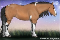 Horse Color:Bay Roan Splash Tobiano