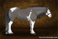 Horse Color:Grullo Splash Tobiano 