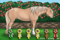 Horse Color:Gold Champagne Tobiano