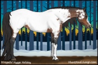 Horse Color:Bay Roan Appaloosa 