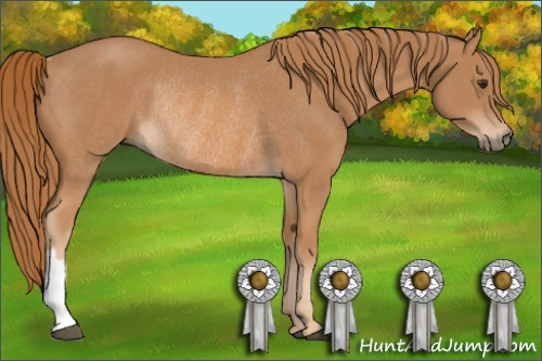 Horse Color: Chestnut Rabicano 