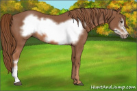Horse Color:Chestnut Frame 