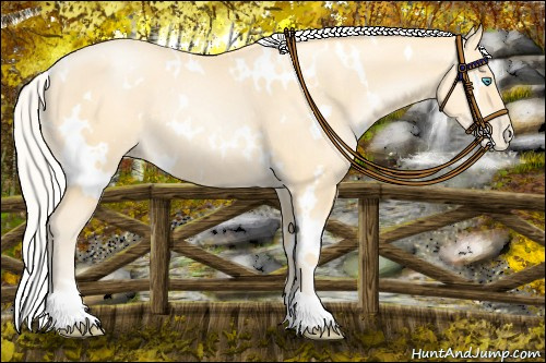 Horse Color: White Spotted Silver Buckskin Pearl 