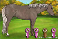 Horse Color:Silver Black 