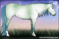 Horse Color:Gray Watercolor Bay