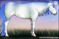 Horse Color:Gray Watercolor Bay