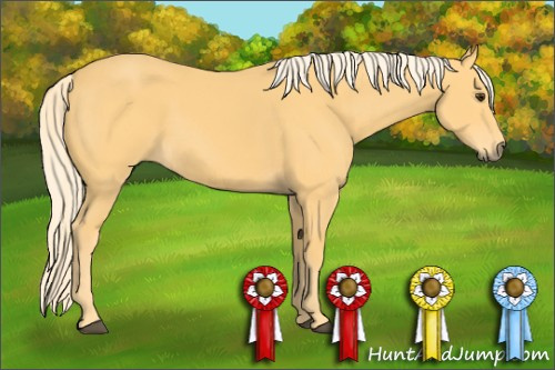 Horse Color: Palomino Sabino 