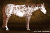 Horse Color:Liver Chestnut Ice Frame 
