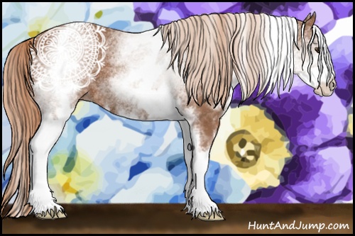Horse Color: White Spotted Chestnut Sabino 
