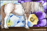 Horse Color:White Spotted Chestnut Sabino