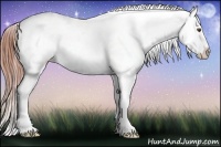 Horse Color:Classic Champagne Dun Snowcap 