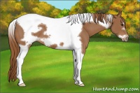 Horse Color:Chestnut Tobiano Frame 