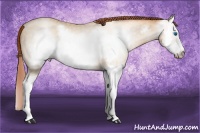 Horse Color:Gray Amber Cream Champagne Pearl Sabino Splash Frame 