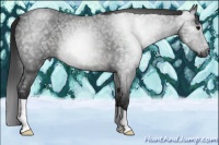 Horse Color:Gray Blue Ice Roan 