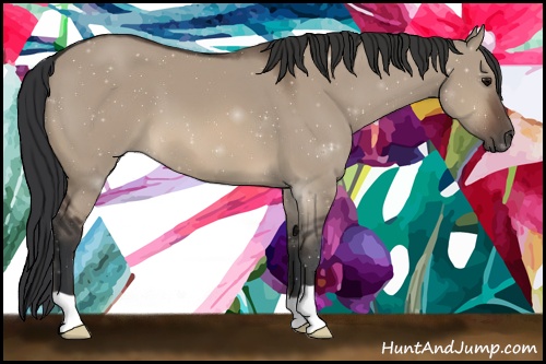 Horse Color: Brown Dun 
