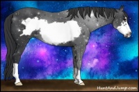 Horse Color:Black Frame 