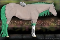 Horse Color:Watercolor Buckskin 