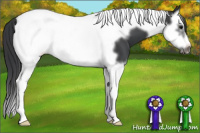 Horse Color:Black Splash Tobiano Frame 