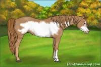 Horse Color:Chestnut Frame