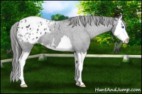 Horse Color:Blue Roan Splash Blanket 