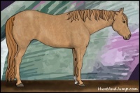 Horse Color:Chestnut  Brindle