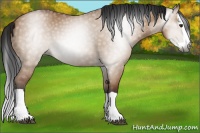 Horse Color:Gray Bay Dun Splash 