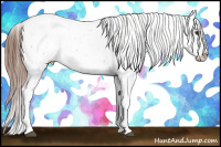 Horse Color:Chestnut Tobiano Appaloosa