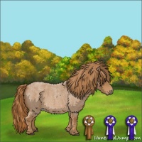 Horse Color:Red Roan