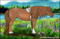 Horse Color:Chestnut Tobiano