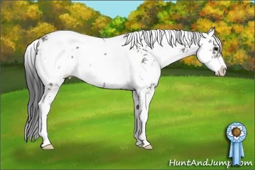 Horse Color: Grullo Sabino 