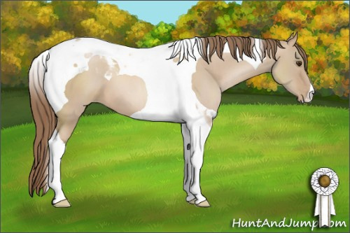 Horse Color: Grullo Pearl Tobiano 