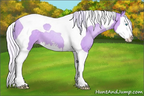 Horse Color: Watercolor Silver Buckskin Pearl Sabino Splash Tobiano 