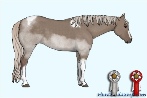 Horse Color: Unknown 