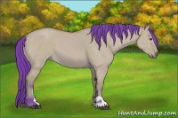 Horse Color:Watercolor Bay Dun Sabino 