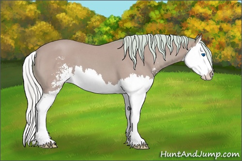 Horse Color: Watercolor Silver Bay Roan Sabino Splash 