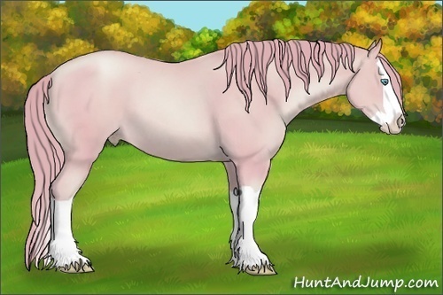 Horse Color: Watercolor Buckskin Pearl Splash 