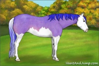 Horse Color:Watercolor Bay Roan Sabino Splash 