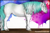 Horse Color:Gray Watercolor Bay Roan Splash 