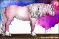 Horse Color:Gray Watercolor Palomino 