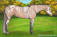 Horse Color:Bay Splash Tobiano Blanket  Brindle