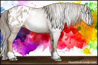 Horse Color:Gray Watercolor Chestnut Blanket 