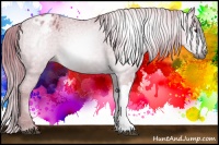Horse Color:Gray Watercolor Chestnut Blanket 