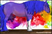 Horse Color:Watercolor Bay 