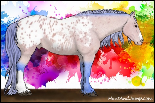 Horse Color: Watercolor Buckskin Blanket 