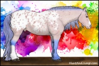 Horse Color:Watercolor Buckskin Appaloosa 