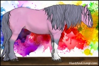 Horse Color:Watercolor Buckskin 