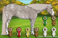 Horse Color:Silver Grullo Ice Sabino Splash 