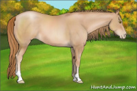 Horse Color:Chestnut Pearl
